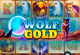 상상 속의 야생 play wolf gold